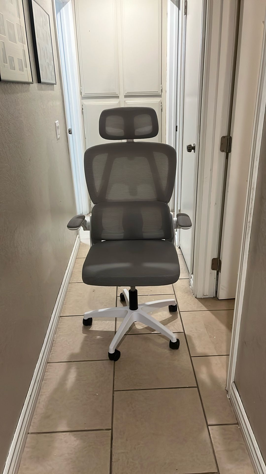 Ergonomic Office Chair