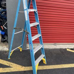 6ft Ladder