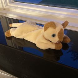 The beanie babies collection: Snip the Cat