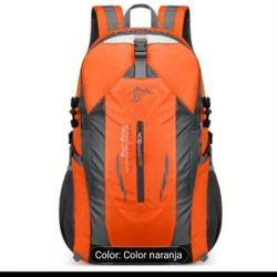 Student Type Backpack 