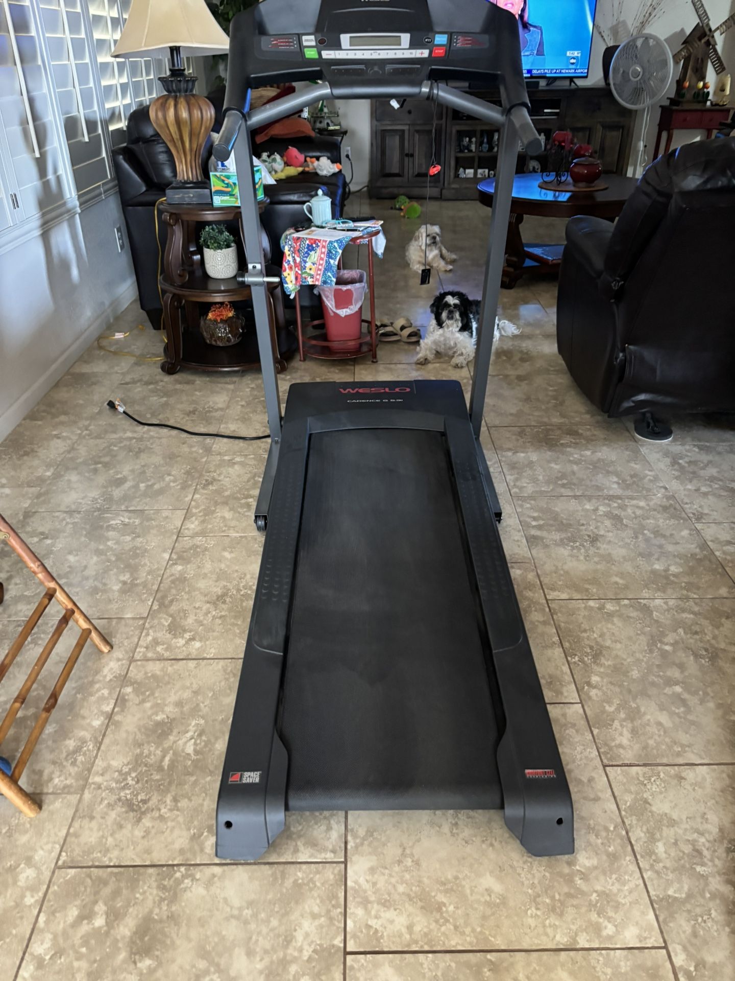 Well Treadmill