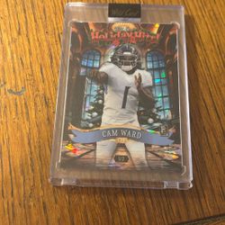 Cam Ward Wild Card /2