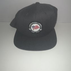 Branded Bills United States Hat