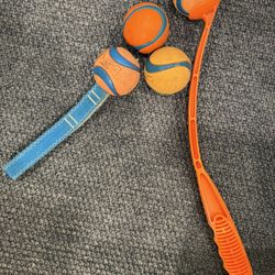 Dog Chuck It And Balls