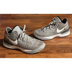 Nike LeBron NXXT Gen Wolf Grey Metallic Gold Mens 9