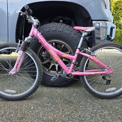 Trek MT 220 Youth Mountain Bike 21 speed Front suspension 12” 