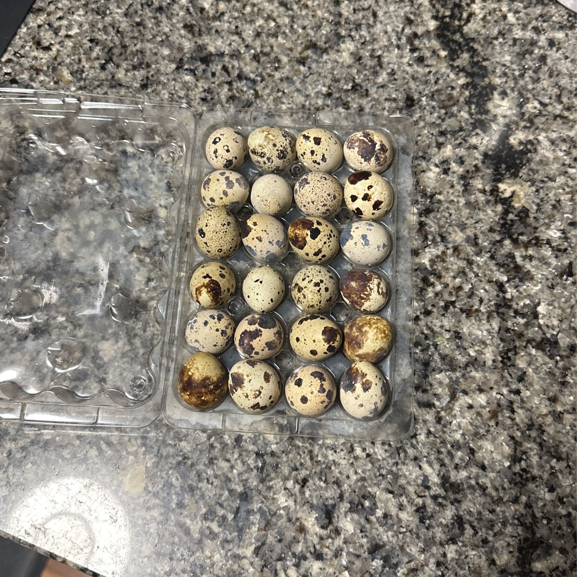 Local Farm Raised Quail Eggs