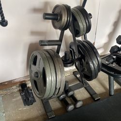 Stand And Only Plates 