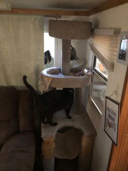 Cat tree