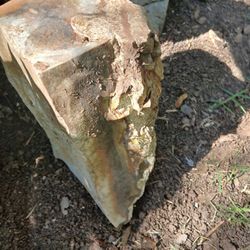 Rainbow Eucalyptis Petrified Wpod ( Various Sizes And Weights) My Largest Is 4 Feet Tall And Weighs 124 Lbs