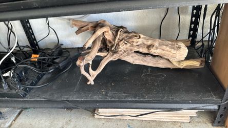 Beautiful piece Of Driftwood