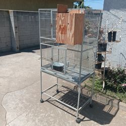 Bird Cage 