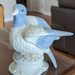 Porcelain Doves Birds