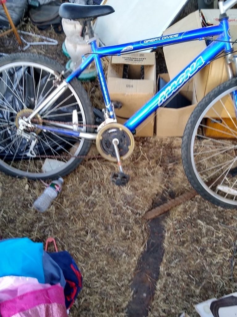 Big Sale Saturday Hair care