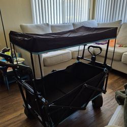 Pull/Push Wagon 