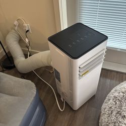 Portable A/C Unit 