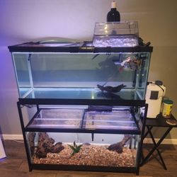 (2) 75 Gallon Aquariums With Pump Filter