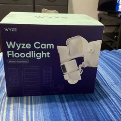 Camera Waze Cam Floodlight
