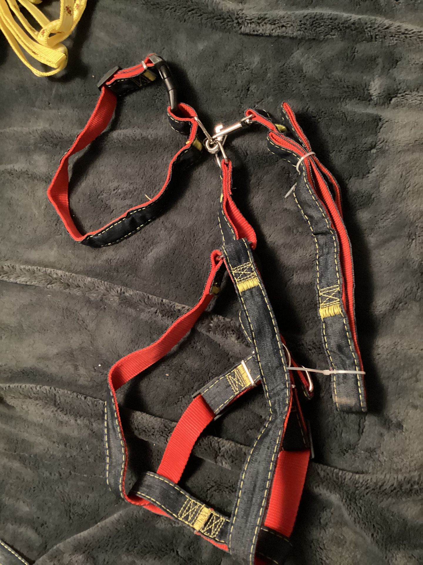 Medium Dog Leash, Collar, and harness
