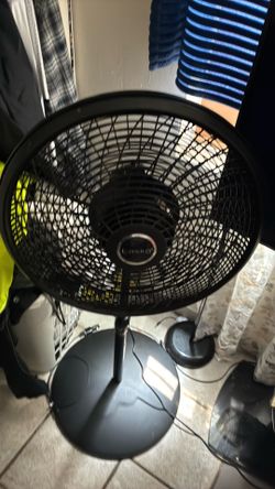Lasko fans