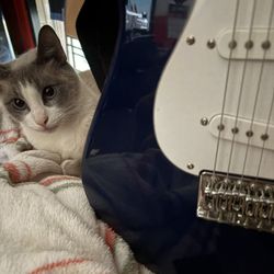 Silvertone Guitar  SS10