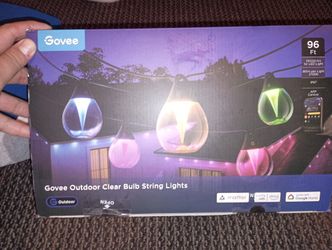 Govee Outdoor Bulb String Lights 96ft