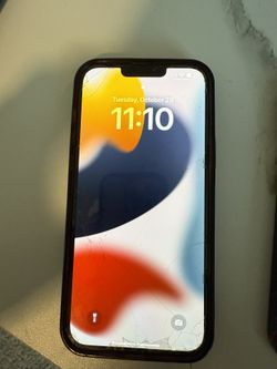 iPhone 13 Pro Max 256 Gig