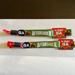 Aftershock 2024 4day GA