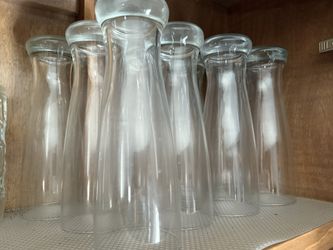 Pilsner Beer Glasses 18 oz