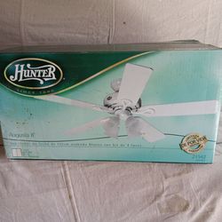 Hunter ceiling fan