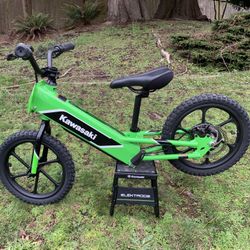   Kawasaki Elektrode 16