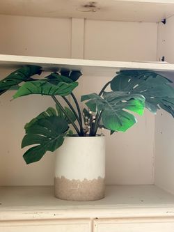 Artificial Plant