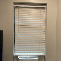 Window Blinds