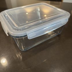 Large Glass Food Container