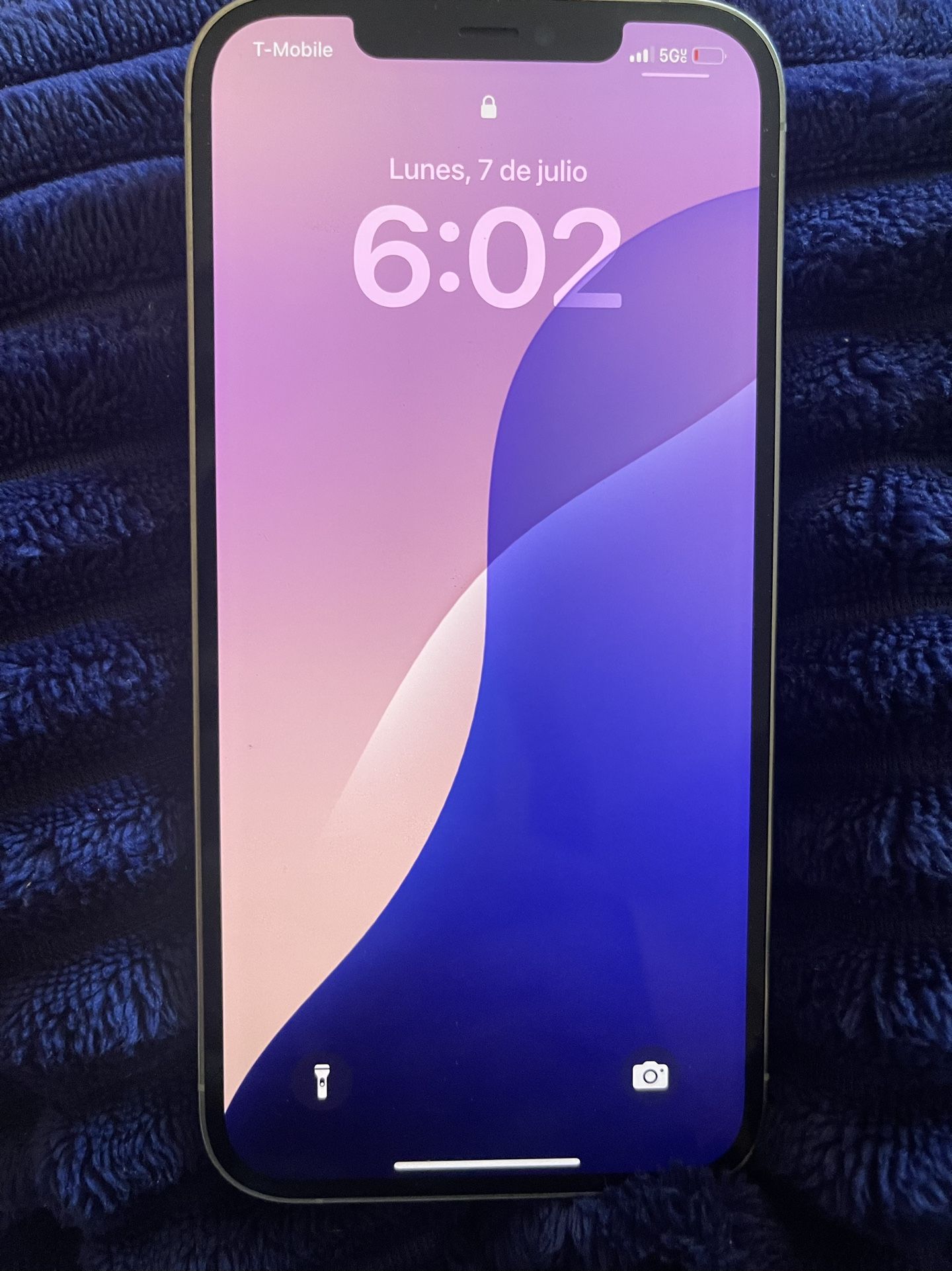 iPhone 12 Pro Max 256 gb Unlocked