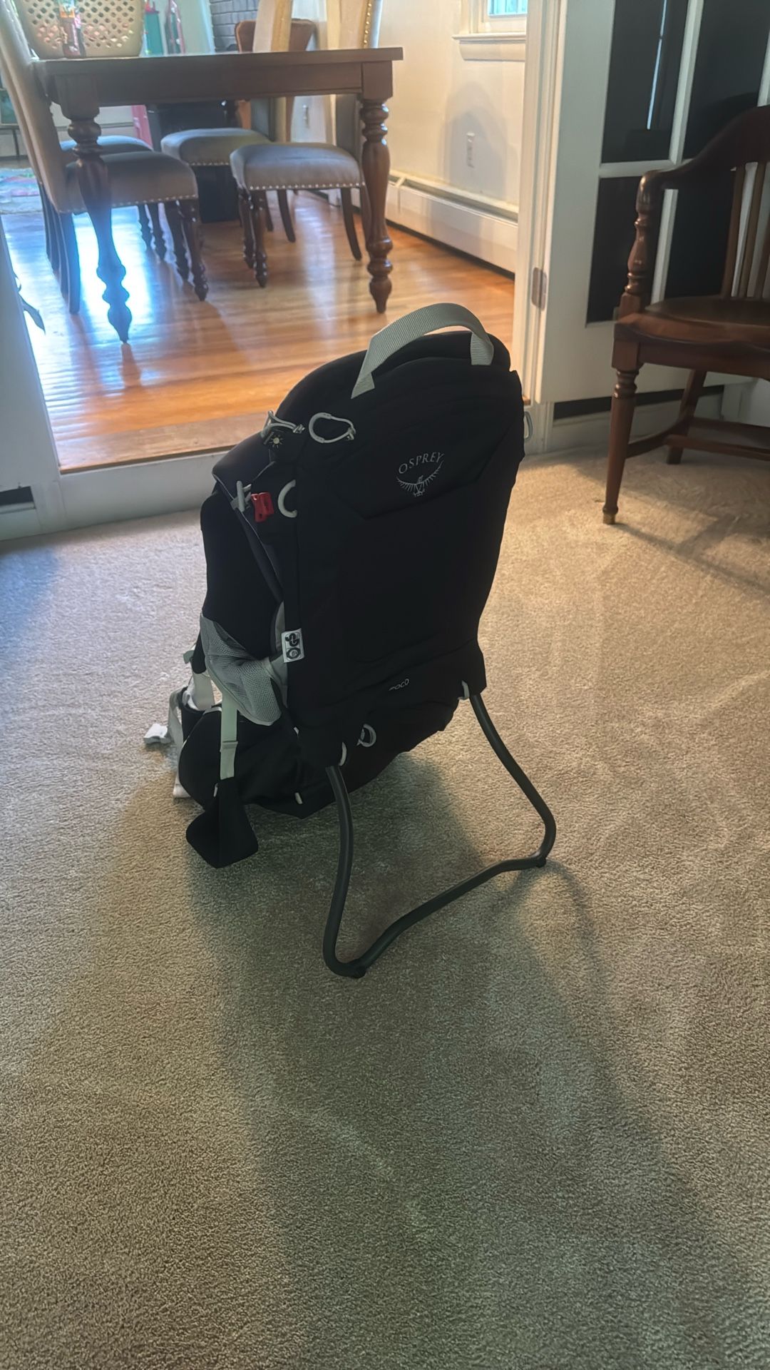 Osprey Poco Child Carrier