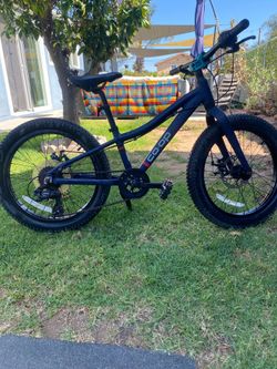 Rei Co-Op Rev 20 kids mountain bike