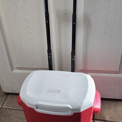 Small Rollijg Cooler
