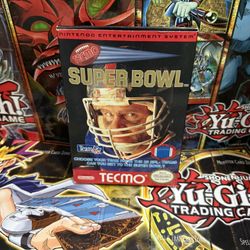 Tecmo Super Bowl Nintendo NES Game