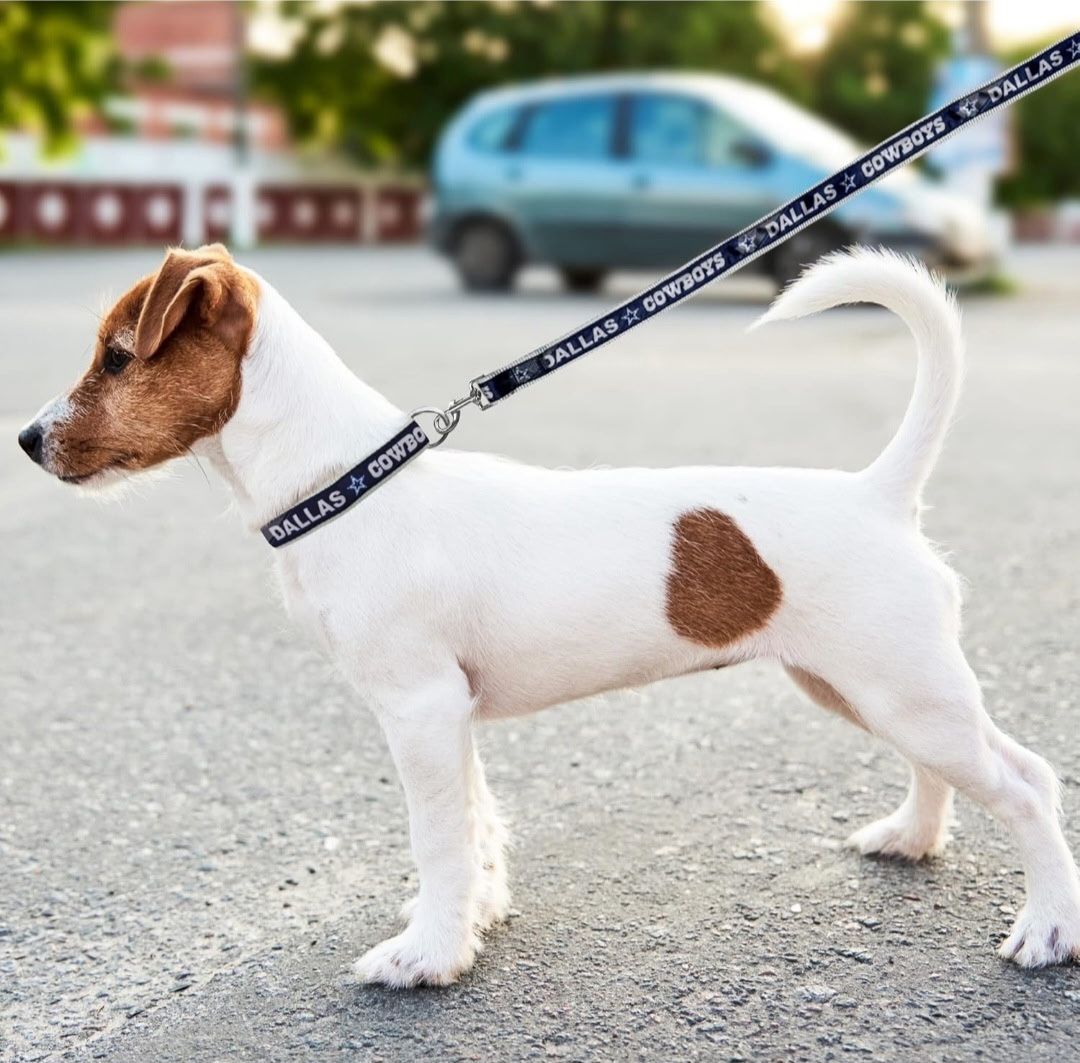 NFL Dog Leash - Blue Size Sm
