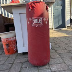 Punching Bag