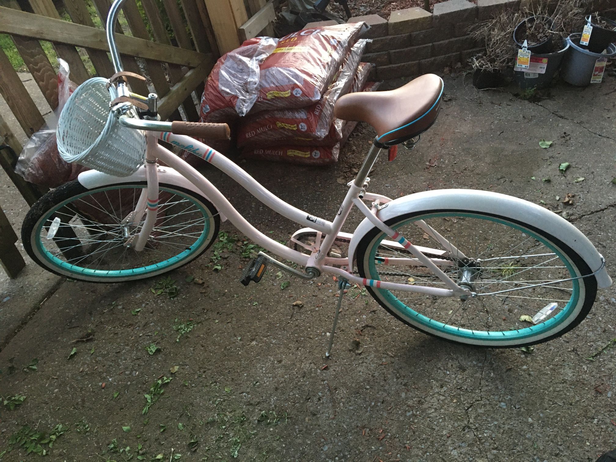 Beach Cruiser