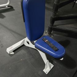 Flex Fitness Seated Utility Bench Commercial Gym Equipment Exercise Weight