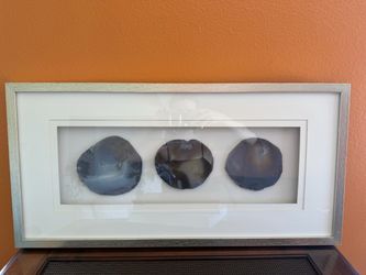 Framed Agate Slice Wall Art