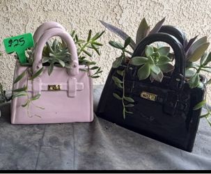 Purse succulent planters