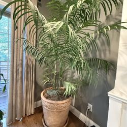 Large Artificial Palm Plant with Decorative Pot – 7.3 ft Tall