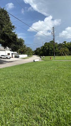 Free couch before it rains