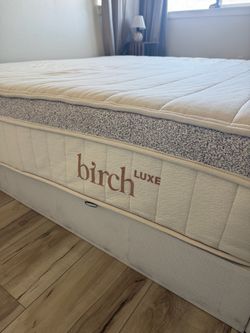 Birch Luxe Nontoxic King Mattress