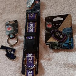 Baltimore Ravens Items 