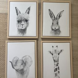 Animal Prints/ Frames 